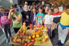 IMG-042ef6d28606bae52b3e7ebb4d915954-V