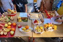 IMG-7c8afccb49a131dbc1b8bc97002114d3-V