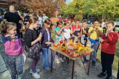 IMG-fbb5c0a471bbe25ae0746a59a013dd63-V