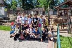 IMG-01cf5cdd74232d4f833192bf11474382-V