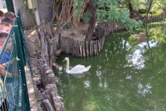 IMG-0ccf5af38844b8cedfd760d4ca22373b-V