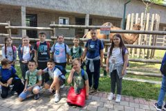 IMG-1fb97dd1d8322545d5791e40c609e7f1-V