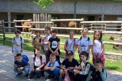 IMG-4754ea3f2f7d4199e304cbc8d47fb648-V