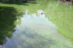 IMG-75866cf0cddc3d089b9eee701f257a38-V