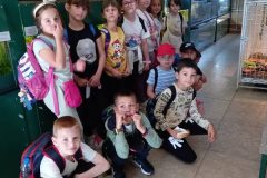 IMG-82ff9e109594979132cee588ae678f02-V