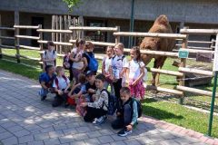 IMG-88add80d76a22a358b7c83cdb68c76e1-V