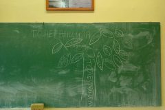 IMG-c11b415cb7eb91716c5f71886d4df733-V