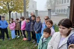 IMG-87bdcacbf817cf978a4c54000ef049e6-V