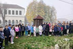 IMG-eea98160c5dbe3761db022336d65c15d-V