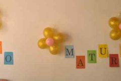 IMG-aed792c27981d6ce2d7dc60c538f015d-V