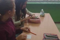 IMG-01e38f269a305e41892ea2651833c01a-V