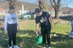 IMG-06213ab46df833d7fb286fc0323f4548-V