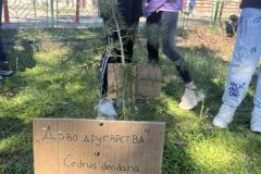 IMG-43230b01540fe9a6e7bfe6ba9309cc68-V