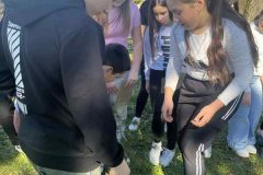 IMG-74316aff7bfc5fd0273e70a257bae75c-V