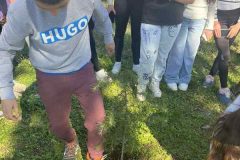 IMG-966c86e926e40ea4d20da6411a162062-V