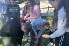 IMG-c7bf9c89333f035024111afbadf1fcba-V