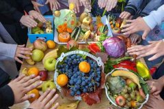 IMG-01de7b47bfb7236dfe3e0c28ab8461aa-V