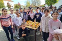 IMG-50178f93d7377945a5cf8875f96b7692-V